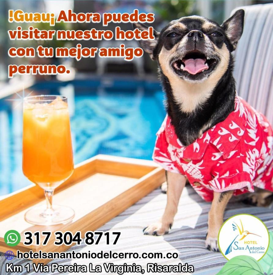 Hotel San Antonio Del Cerro Cerritos Eksteriør billede